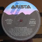 Taylor Dayne-3