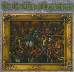 The Re-Vibe-al Experience-0