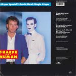 Sharpe And Numan*-1