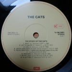 The Cats-2