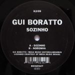 Gui Boratto-0