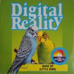 Digital Reality - Wake Up (Little Bird) (12")