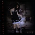 Velvet Acid Christ-0