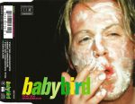 Babybird-2