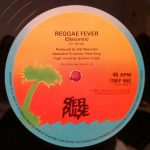 Steel Pulse-3