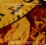 Crazy Gods Of Endless Noise-1
