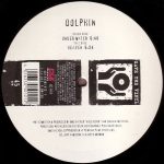 Dolphin-0