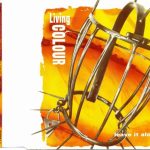 Living Colour-0
