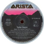 Taylor Dayne-3