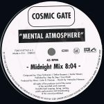 Cosmic Gate-2