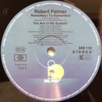 Robert Palmer-3