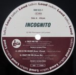 Incognito-2