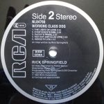 Rick Springfield-3