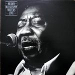 Muddy Waters-0