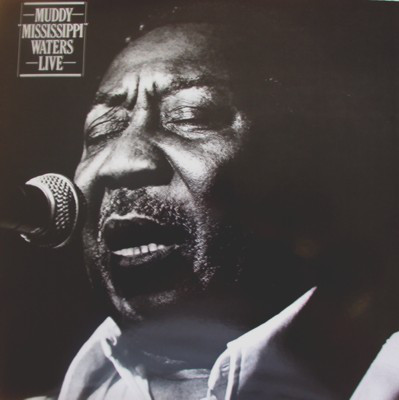 Muddy Waters-1