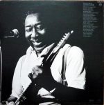 Muddy Waters-2