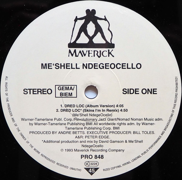 Me'Shell NdegéOcello-0