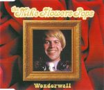 The Mike Flowers Pops-0