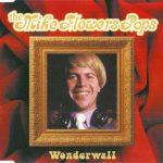 The Mike Flowers Pops-0