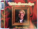 The Mike Flowers Pops-1