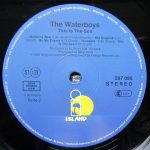 The Waterboys-3