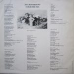 The Waterboys-4