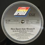 Rico Sparx Featuring Moses Pelham-2