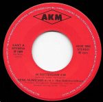 Henk Numeijer m.m.v. Het Geinmondkoor-1