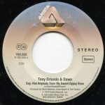 Tony Orlando & Dawn (5)-2