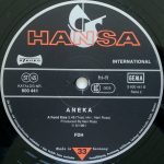 Aneka-3