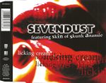 Sevendust Featuring Skin-2