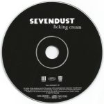 Sevendust Featuring Skin-4