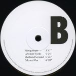 Nick Cave & Warren Ellis-3