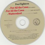 Foo Fighters-3