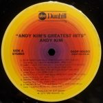 Andy Kim-4