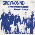 Greyhound (4)-0