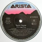 Taylor Dayne-3