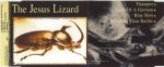 The Jesus Lizard-3