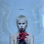 Die Antwoord-0