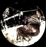 Sleepbug / Element Abuse / Obnoxious*-1