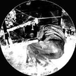 Sleepbug / Element Abuse / Obnoxious*-3