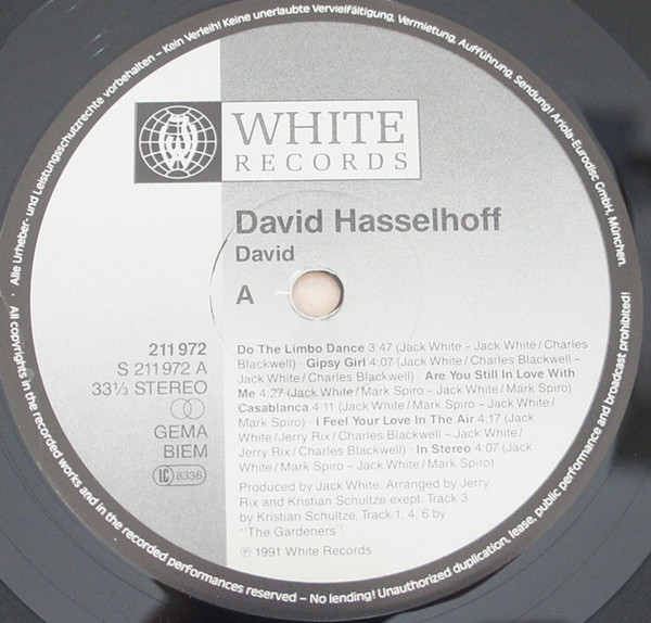 David Hasselhoff-1