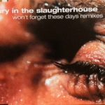 Fury In The Slaughterhouse-0