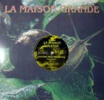 Electric Fruit Orchestra-0