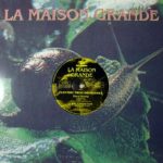 Electric Fruit Orchestra-0