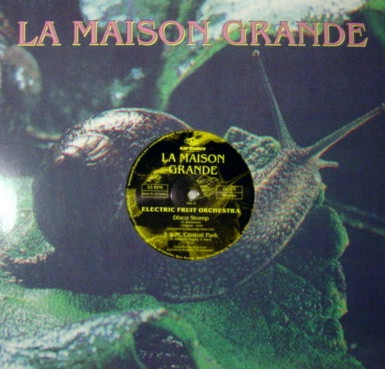 Electric Fruit Orchestra-0