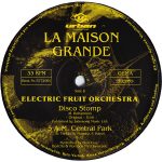 Electric Fruit Orchestra-2