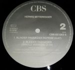 Herwig Mitteregger-4