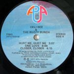 Celi Bee & The Buzzy Bunch-3