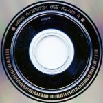 Fields Of The Nephilim-4